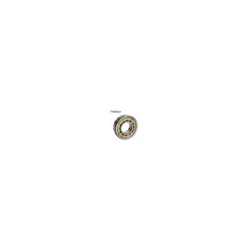 Roulement à rouleaux cylindriques NU322-ECM-C3-VL0241-SKF