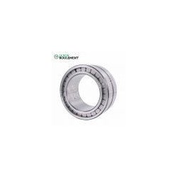 Roulement à rouleaux cylindriques SL183015-C3-INA