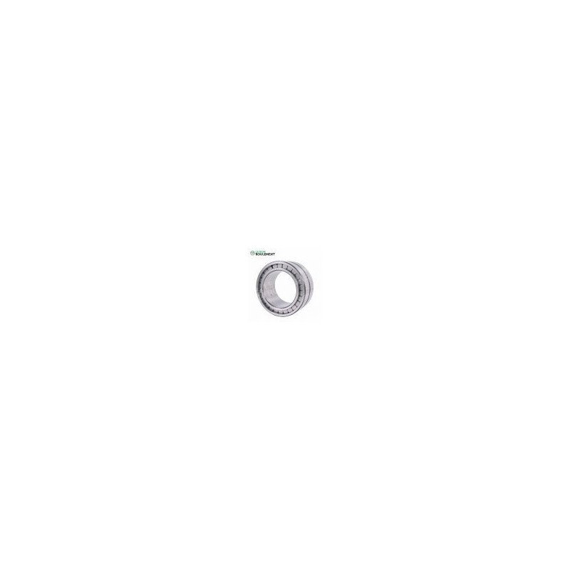 Roulement à rouleaux cylindriques SL183015-C3-INA